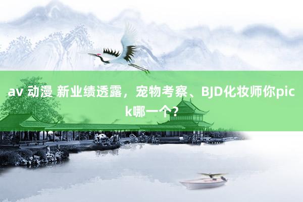 av 动漫 新业绩透露，宠物考察、BJD化妆师你pick哪一个？