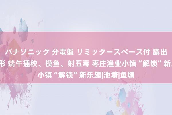 パナソニック 分電盤 リミッタースペース付 露出・半埋込両用形 端午插秧、摸鱼、射五毒 枣庄渔业小镇“解锁”新乐趣|池塘|鱼塘