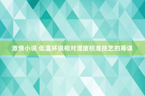 激情小说 低温环境相对湿度校准技艺的筹谋